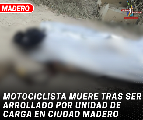 copia-de-copia-de-portada-notas-2-6.png