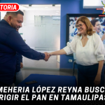 Omeheria López Reyna busca dirigir el PAN en Tamaulipas