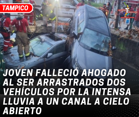 copia-de-copia-de-portada-notas-2-6.png