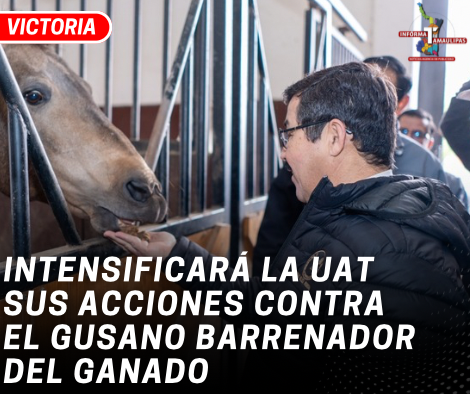 copia-de-copia-de-portada-notas-2-6.png