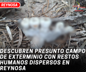 copia-de-copia-de-portada-notas-2-6.png