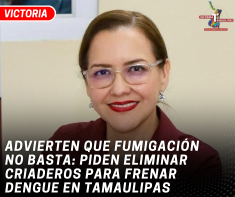 copia-de-copia-de-portada-notas-2-6.png