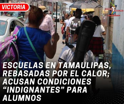copia-de-copia-de-portada-notas-2-7.png