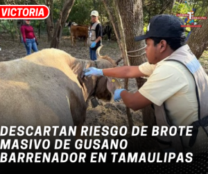copia-de-copia-de-portada-notas-2-7.png