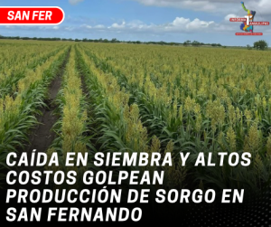 copia-de-copia-de-portada-notas-2-8.png
