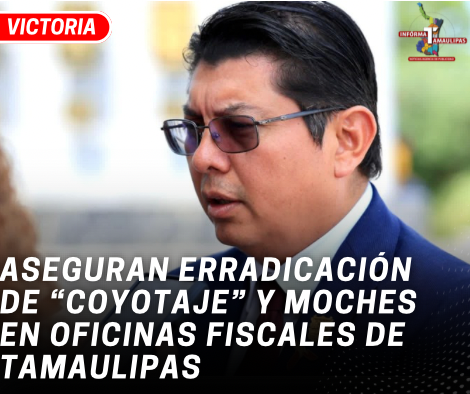 copia-de-copia-de-portada-notas-2-8.png
