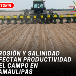 Erosión y salinidad afectan productividad del campo en Tamaulipas