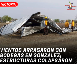 copia-de-copia-de-portada-notas-2-9.png