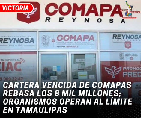 copia-de-copia-de-portada-notas-2-9.png