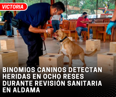 7E546EA1-3A99-4BA2-9632-10048F8A9683