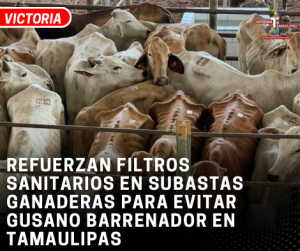 A2CEEAA8-CD52-43D8-88B0-5917AC132C18