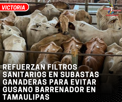 A2CEEAA8-CD52-43D8-88B0-5917AC132C18